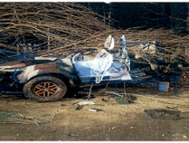 黑龙江大庆一男子酒后驾车致同乘人员1死1伤！获刑4年并赔偿逾百万元