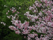 台岛最热门景点榜出炉——