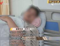 一男子被树叶砸骨折！获赔2.2万元，网友：就知道是它…