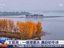 刚刚，央视镜头下的淄博这里，惊艳全国！