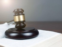 女子被未牵绳泰迪犬扑身受惊吓未获道歉,踢狗引纠纷致狗主人受伤,被判赔偿1200元