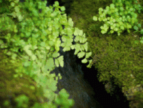 广州周边3家山泉水泳池民宿，溪水、森林无边泳池丨南方民宿