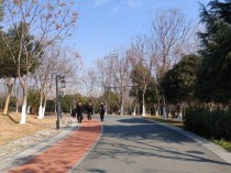 合肥一天气温波动达22℃ 气象部门：未来几天安徽气温起伏明显