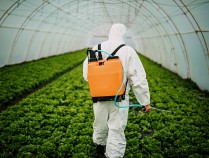 13岁女孩网购农药服用后去世,网购农药实名制别成摆设