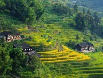 湖南娄底有哪些景点,娄底8大好玩景点推荐,建议收藏!