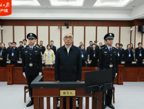 甘肃省原副省长杨子兴一审获刑14年