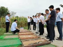 江苏句容发现一处金矿 有望新增金金属资源量超5吨