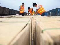 两头在外，3500多家木业企业缘何集聚临沂兰山？