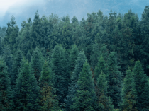 低端民宿卷爆了，做做高端民宿怎么样？ | AD国际建筑观点