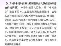 卡塔尔能源大臣:2035年后LNG或短缺,理想油价70 - 80美元