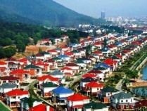 人均600万到欠400亿，毁掉“天下第一村”的不是时代，是人性的恶