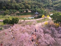 注意!广州一景点本周五前后封山