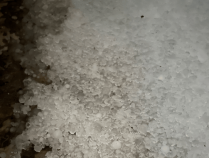 北京丰台突降冰雹,“个头不大,数量巨多”