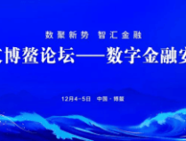 2025企业家博鳌论坛-数字金融安全发展大会将于12月4日在海南举办
