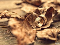 金价大跌16元！2024年11月7日各大金店黄金价格多少钱一克？