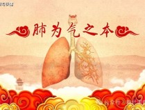 肺的养生之道知多少?