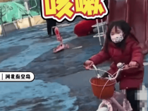 秦皇岛空气中弥漫刺鼻气味系化工厂爆炸导致？官方辟谣：还在排查