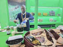 海外客商进博寻机