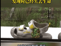 重庆男子下楼捡鞋坠绿化带深坑身亡，小区内还有几个类似深坑，相关部门正调查处理