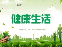 探索身心共融的养生之道