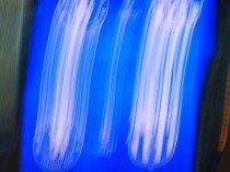 恩佐·马雷斯卡盛赞切尔西门神桑切斯:十人应战阿森纳的关键先生