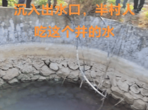 村庄水井内发现被绑石头死猪,“一半村民饮用水源”,广西荔浦警方介入