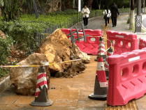 昆明圆通山突发山体滑坡！最新消息→