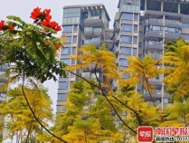 冷空气来了!广西最低气温或降至个位数