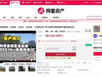 起始价3.84亿元!惠州知名房企方直集团资产被打包挂牌