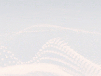 “为提升工作与生活平衡”，携程宣布：这些员工居家办公无需直属领导审批，自动通过！