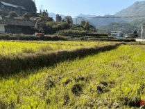 探访“杀父骗保”男子老家:系家中独子从小很受宠,做过很多生意,曾开二手宝马回家