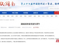 湖南国补券抢不到？省商务厅回应“黄牛”问题：技术已升级，人工验证来把关