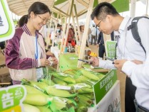 “产”“管”协同，湖北着力构建农产品质量安全全链条监管机制