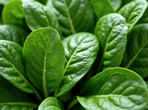 这几种蔬菜,不焯水当心中毒!第2种很多人都爱吃