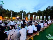 全国知名民宿人齐聚伊春，共探森林康养民宿发展新路径