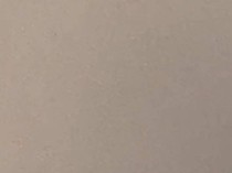 被投诉“连换5次房床上都有虫爬”，涉事高档酒店回应