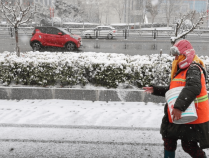 今年下雪，为啥不撒融雪剂了？